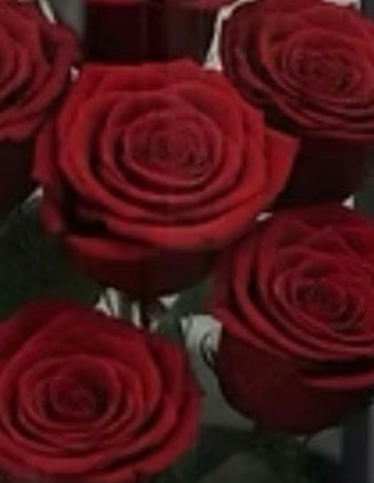 *New* Deluxe Preserved Rose Capsule