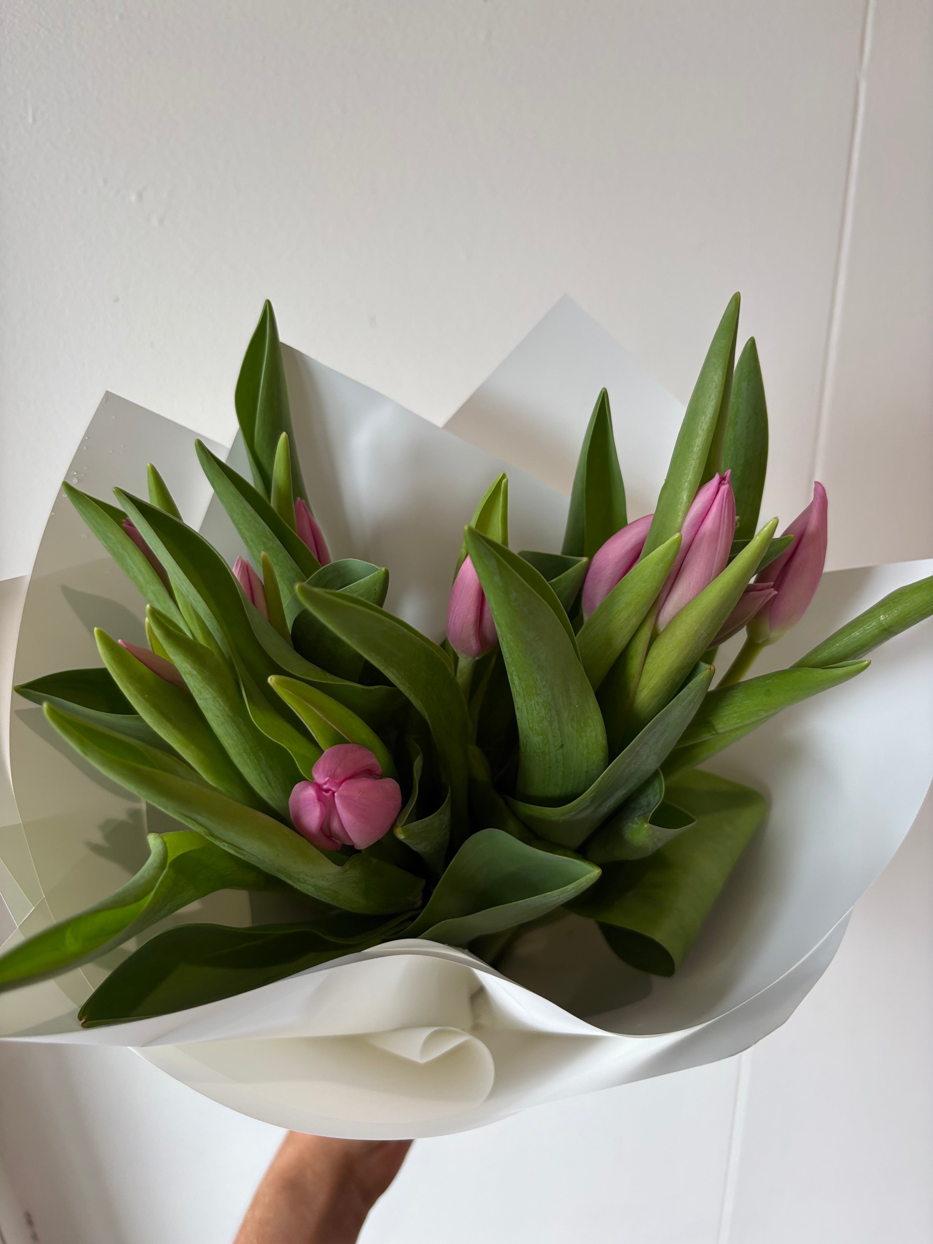 Tulips