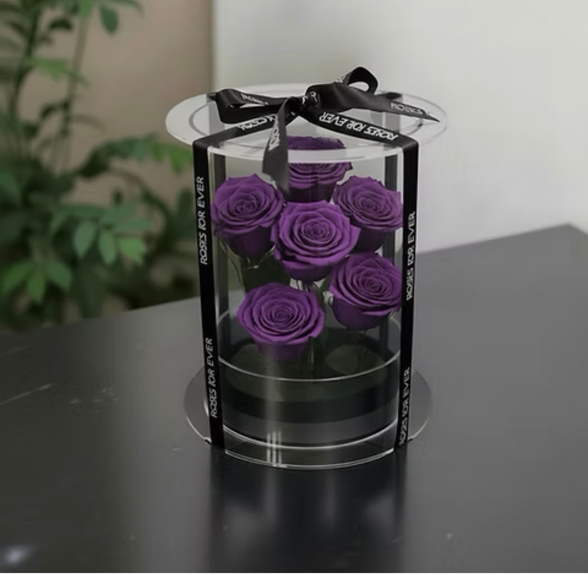 *New* Deluxe Preserved Rose Capsule