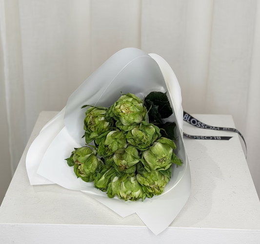 NEW Cabbage Patch Roses