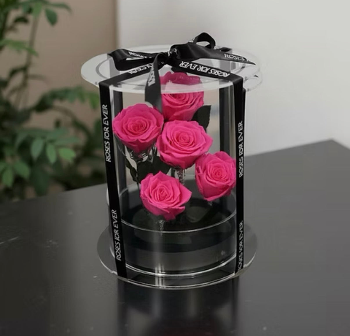 *New* Deluxe Preserved Rose Capsule