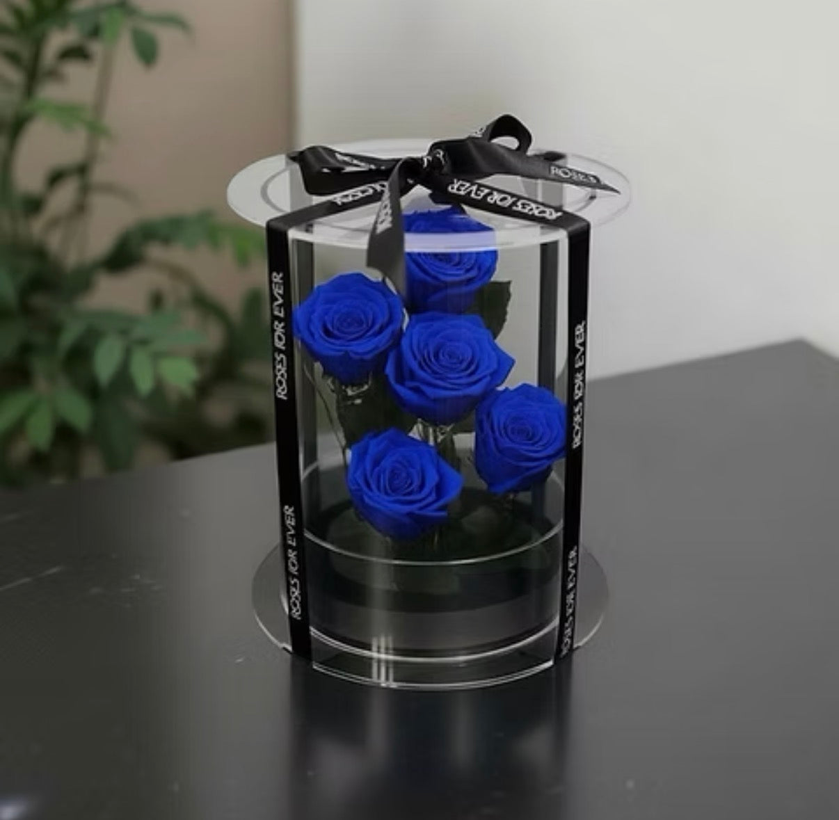 *New* Deluxe Preserved Rose Capsule