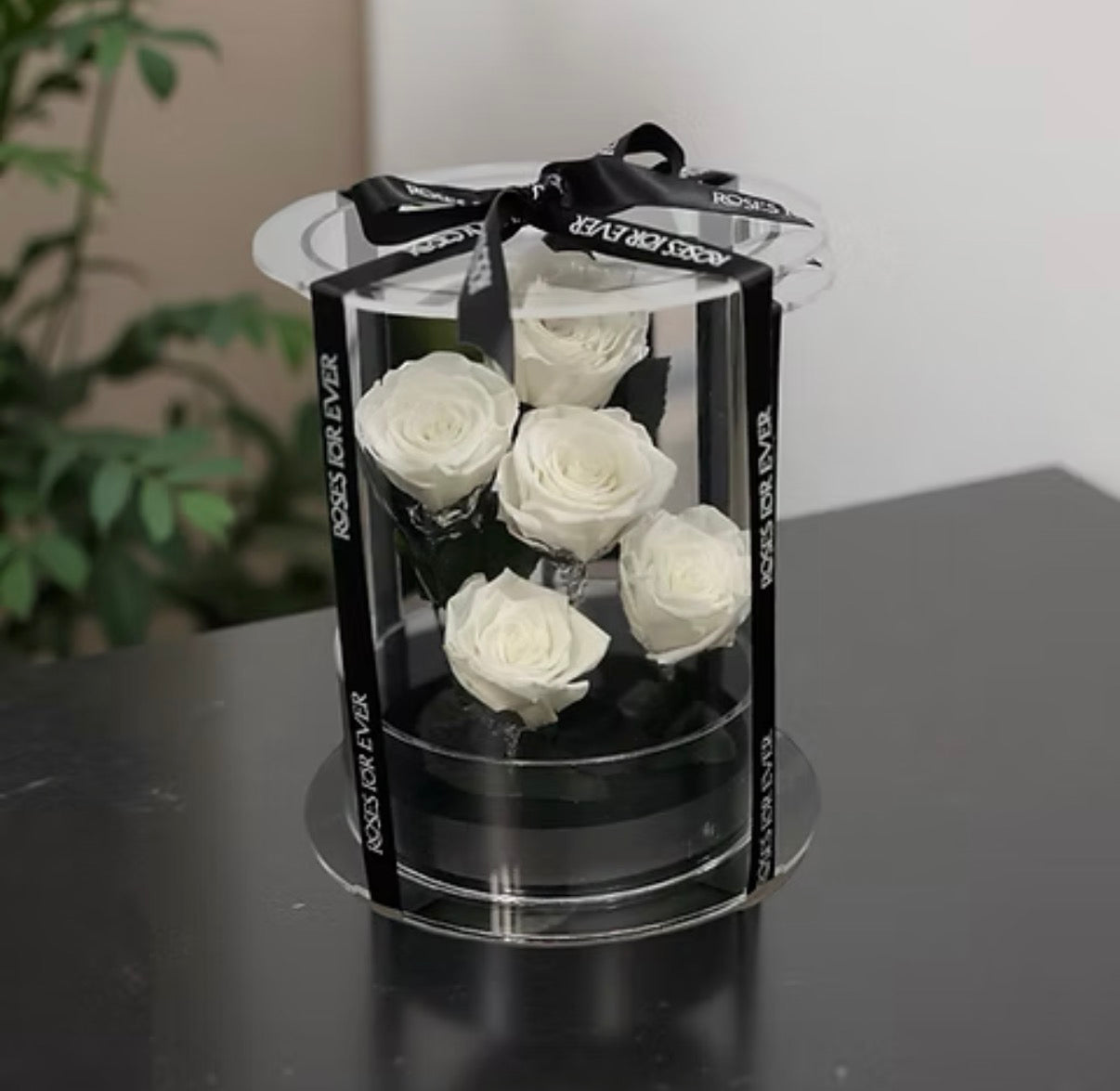 *New* Deluxe Preserved Rose Capsule