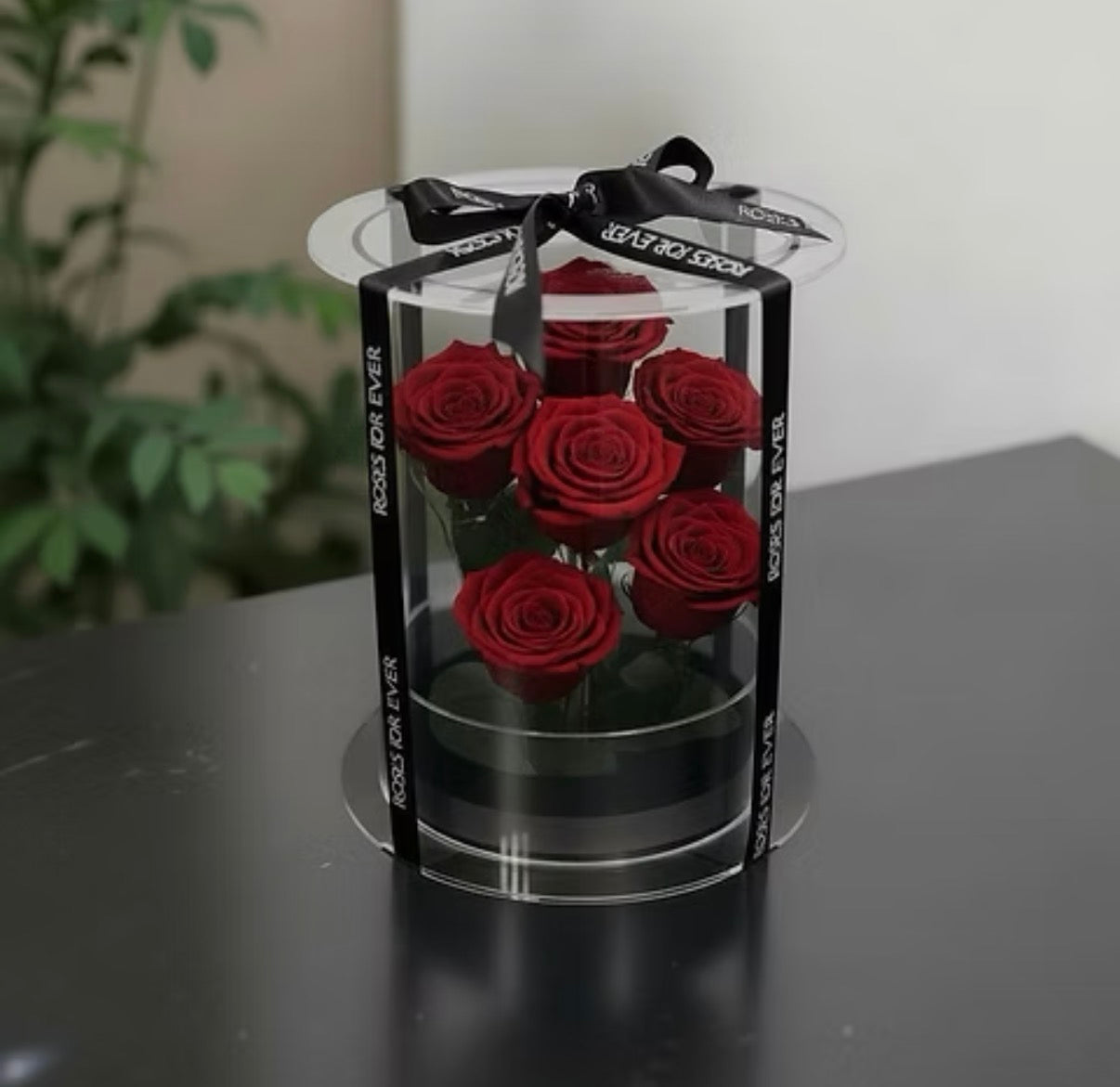 *New* Deluxe Preserved Rose Capsule