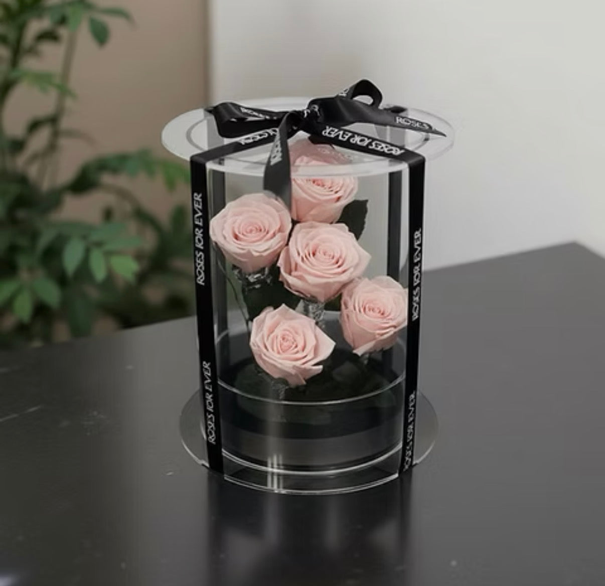*New* Deluxe Preserved Rose Capsule