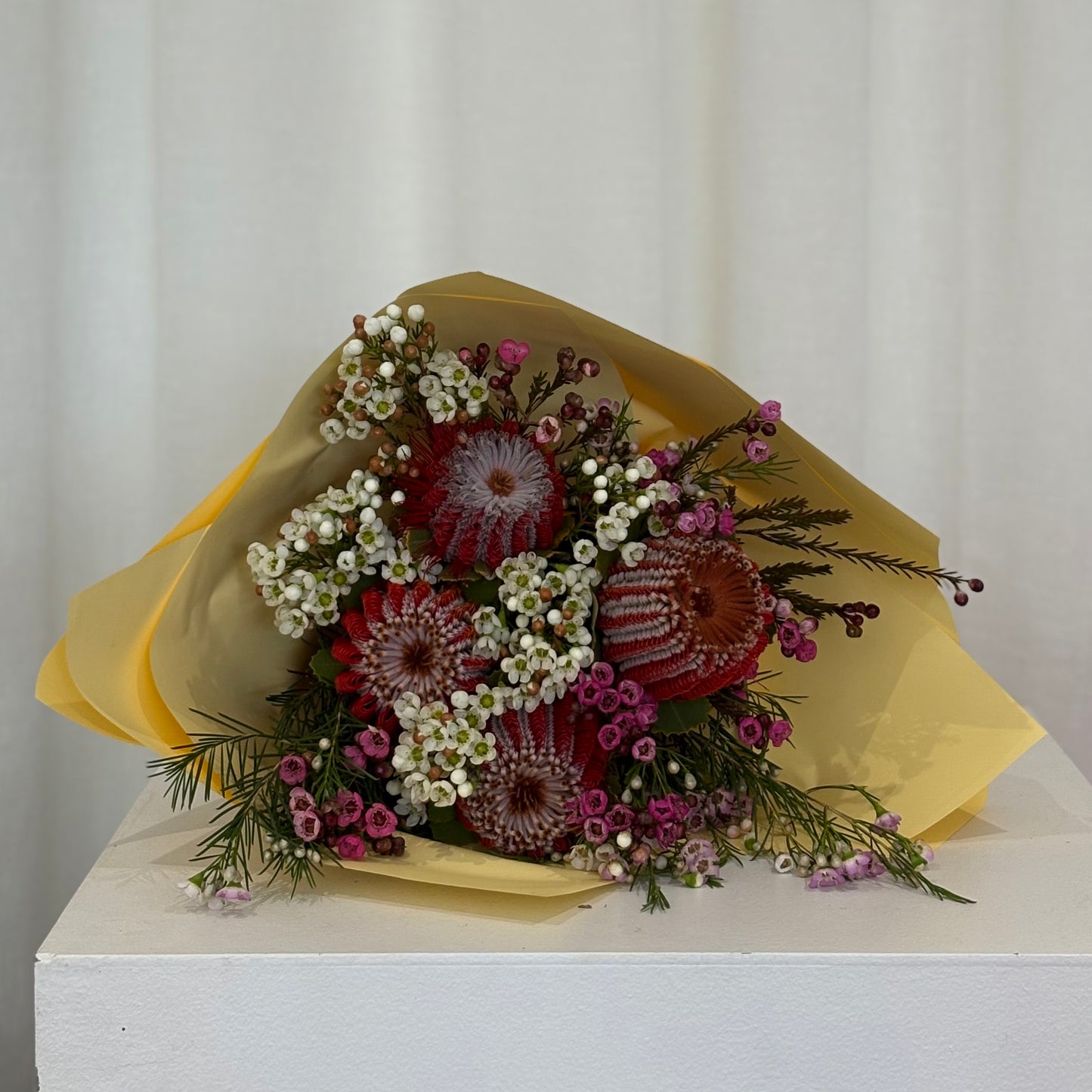 Banksia Bunch