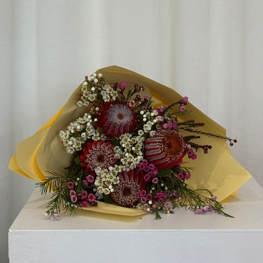 Banksia Bunch