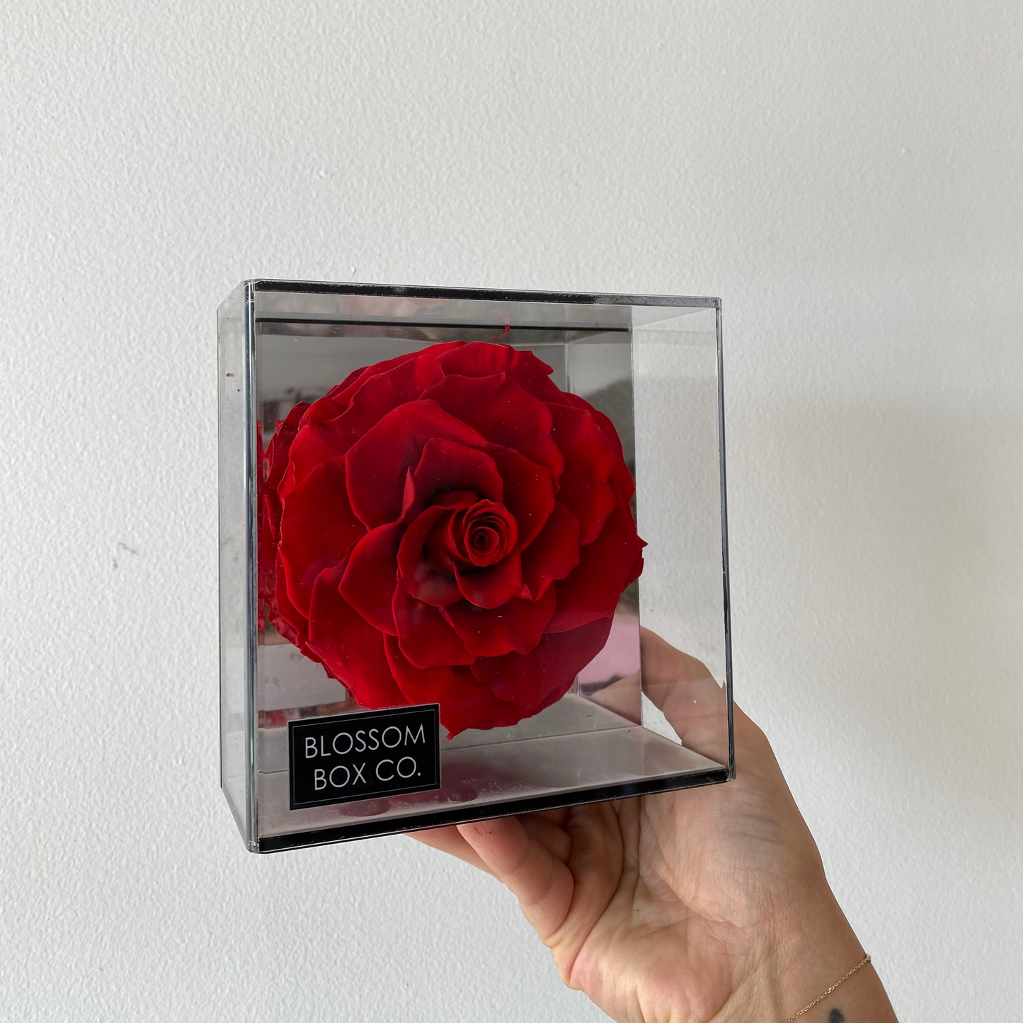 Single Preserved Rose Acrylic Box