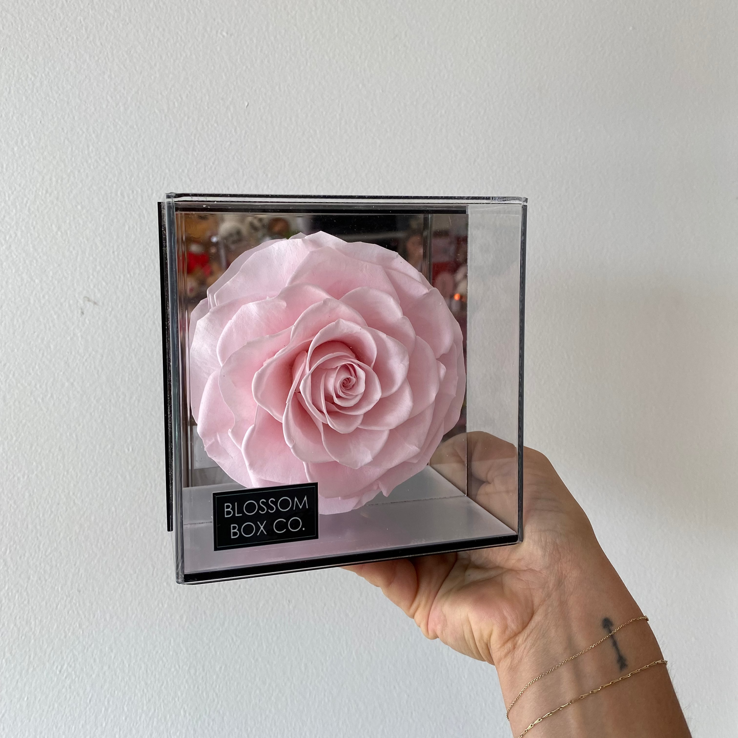 Single Preserved Rose Acrylic Box