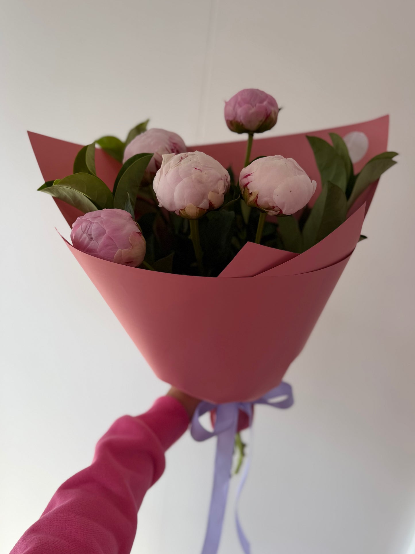 Imported Peonies