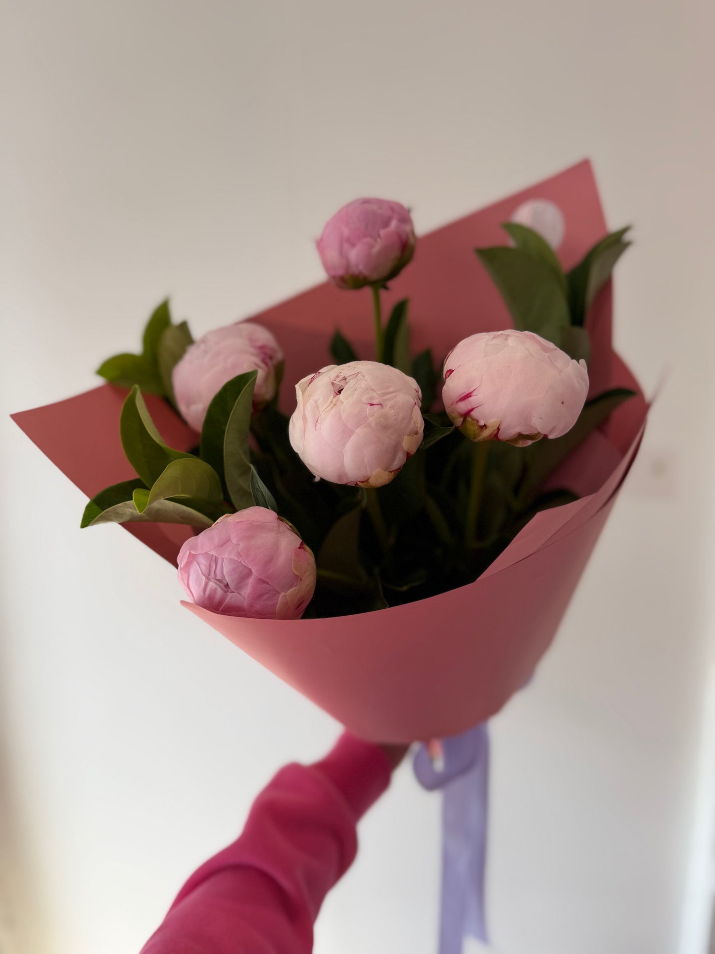 Imported Peonies