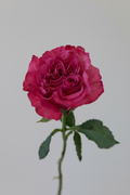 Deluxe Rose Bouquet