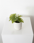 Mini Faux Plants