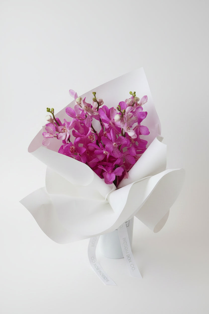 Market Bunch Mokra Orchids