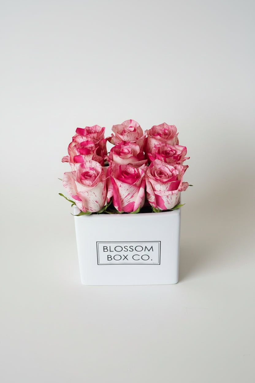 Signature Ceramic Box