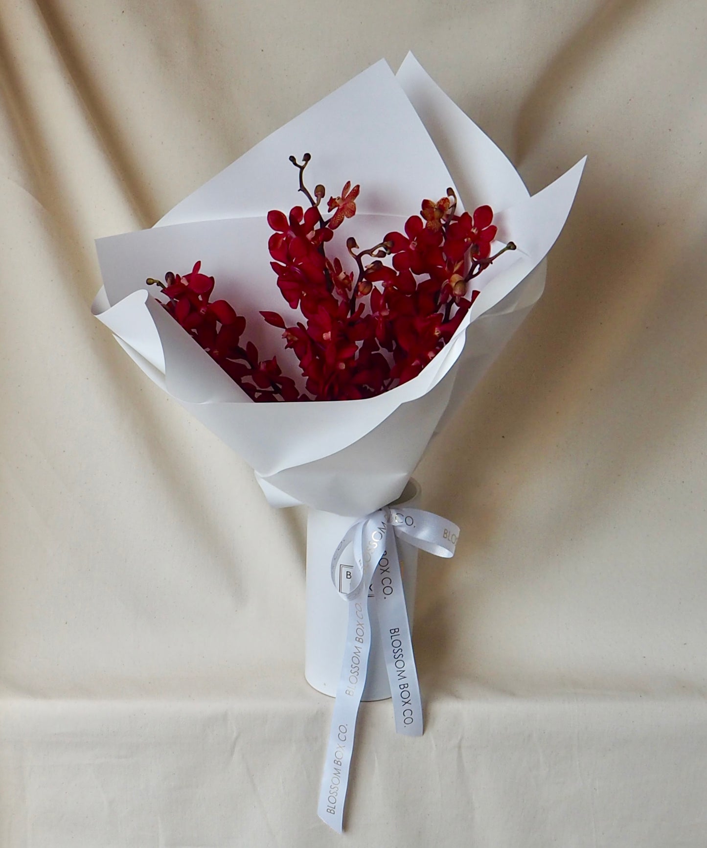 Singapore Orchid Bunch