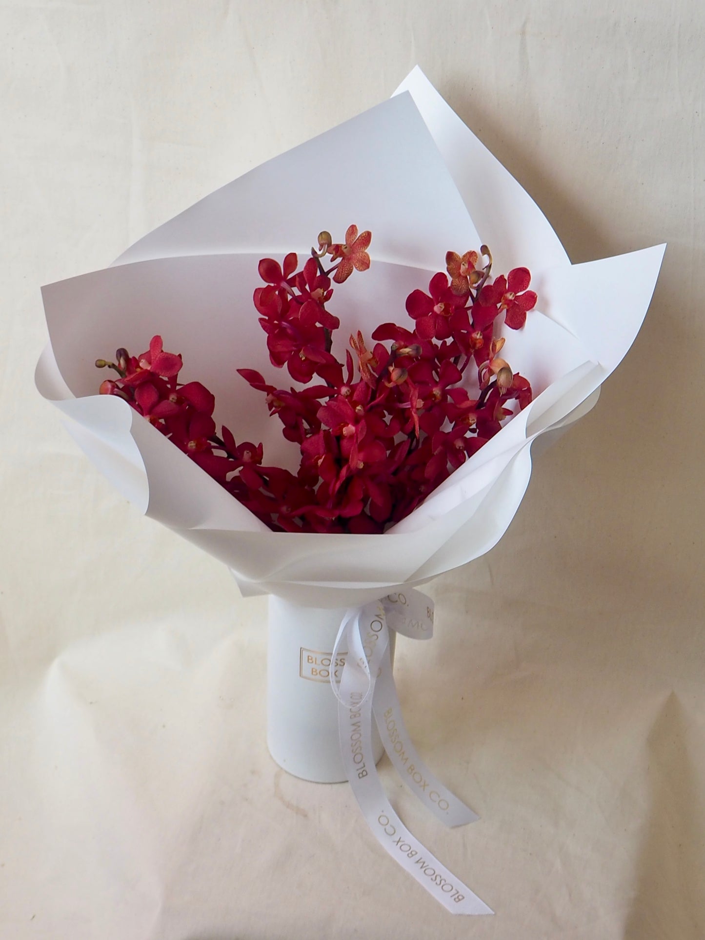 Singapore Orchid Bunch