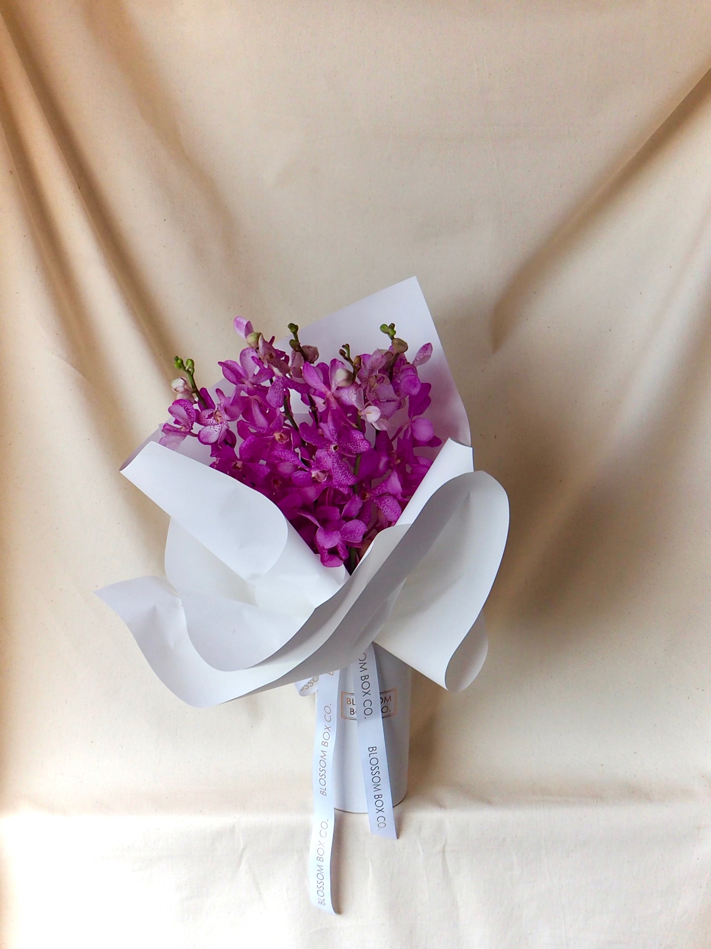 Singapore Orchid Bunch