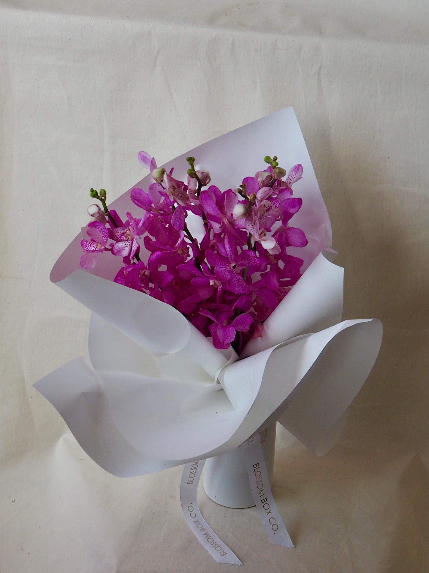 Singapore Orchid Bunch