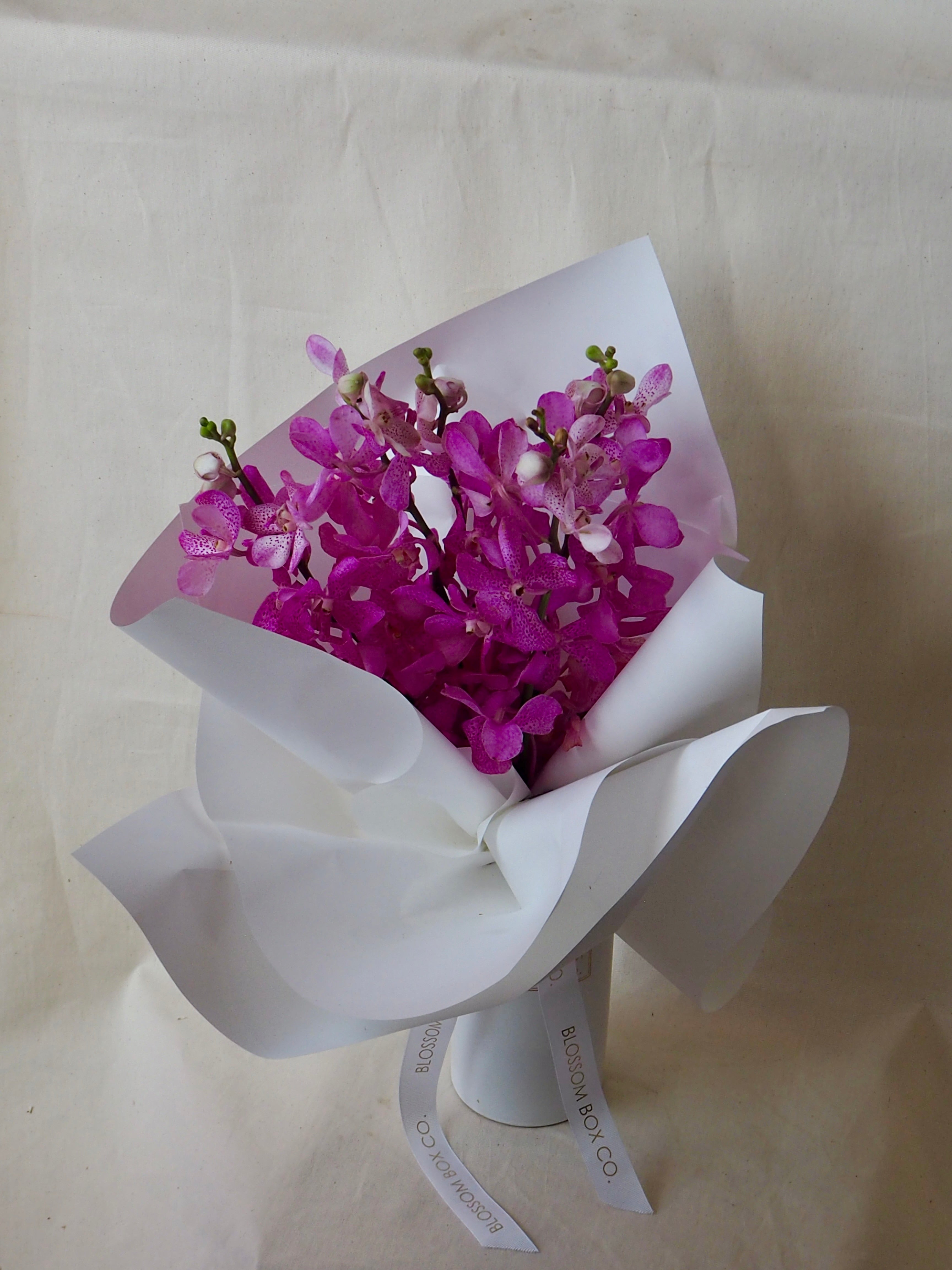 Singapore Orchid Bunch