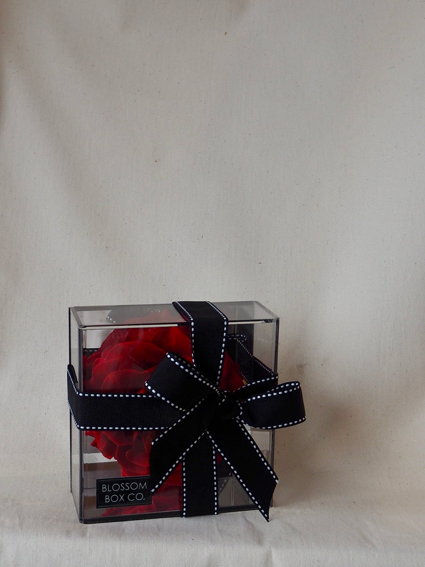 Single Preserved Rose Acrylic Box