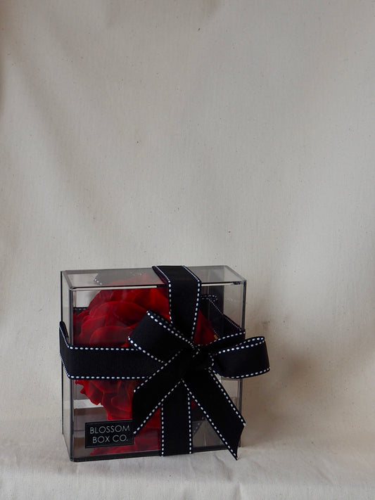 Single Preserved Rose Acrylic Box