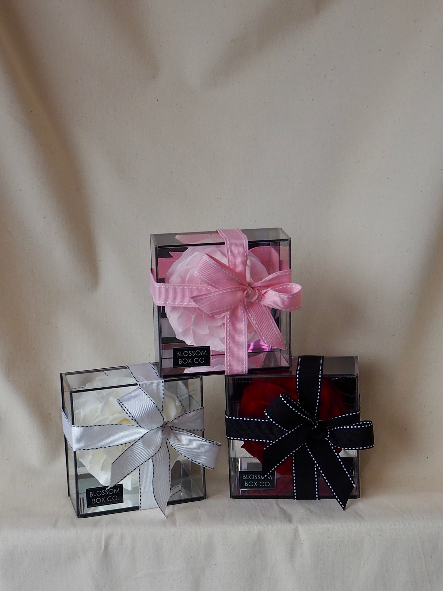 Single Preserved Rose Acrylic Box