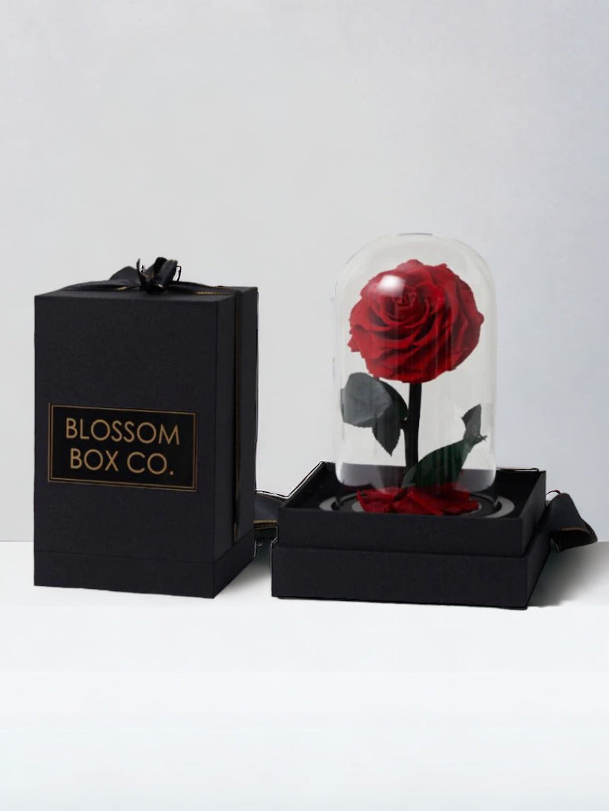 Rose Dome Arrangement with a red preserved rose beside its black Blossom Box Co gift box, photo 1 of 5