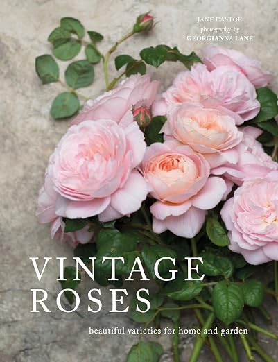 Vintage Roses book cover with soft pink garden roses