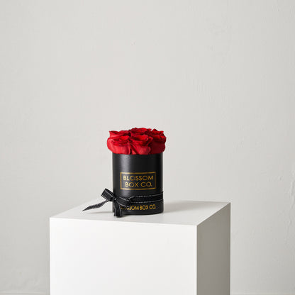 Mini Deluxe Box