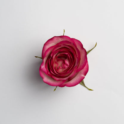 Ceramic Rose Box (Round)