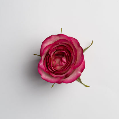 Midi Deluxe Blossom Box