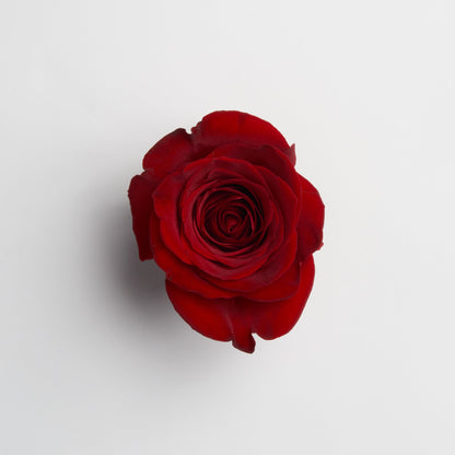 Ceramic Rose Box (Round)