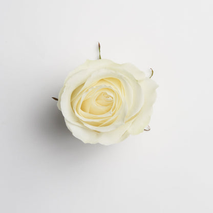 Ceramic Rose Box (Round)