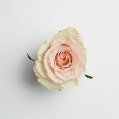 Ceramic Rose Box (Round)