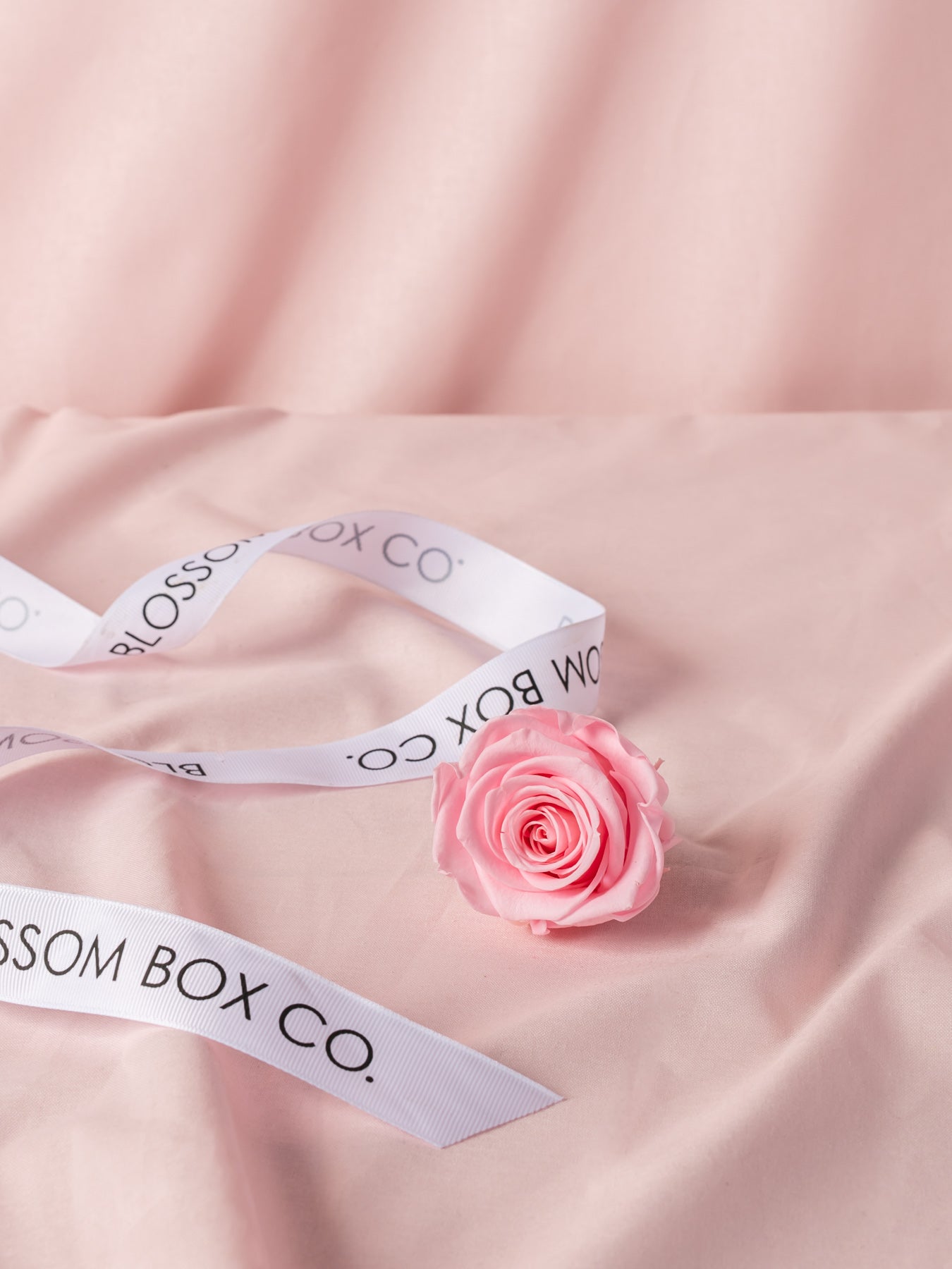 Preserved Blossom Hat Box