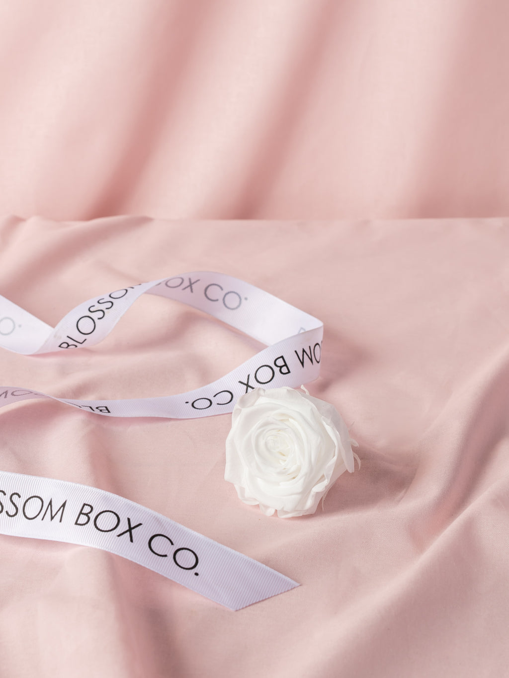 Preserved Classic Ceramic Rose Box