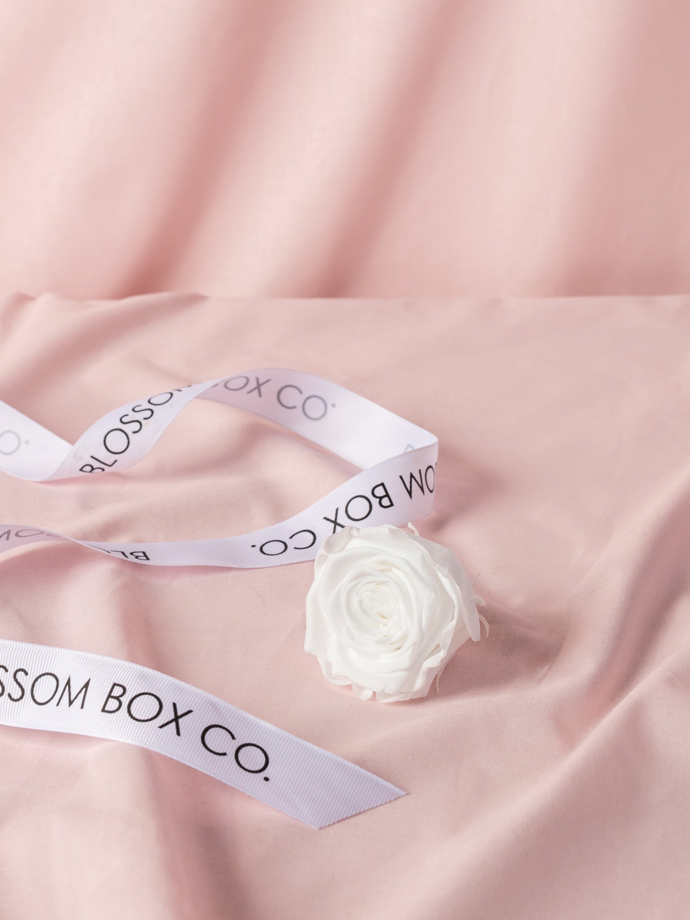 Preserved Blossom Hat Box