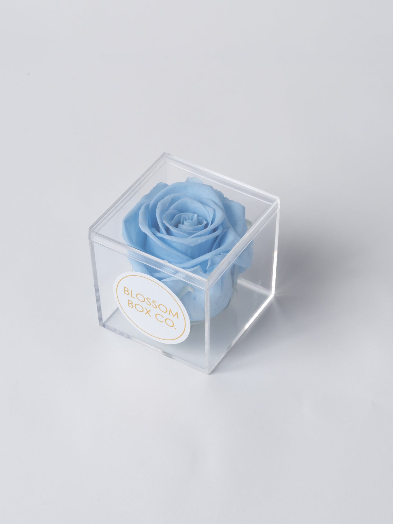 Preserved Cube Rose Box