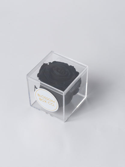 Preserved Cube Rose Box