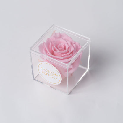 Preserved Cube Rose Box