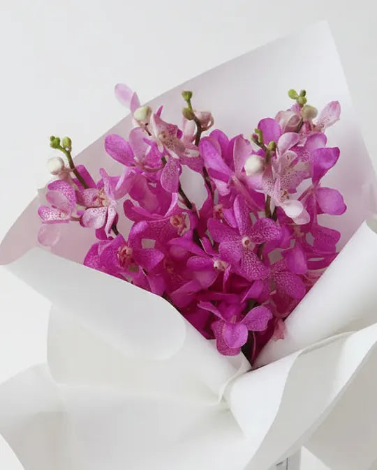 Fuchsia Mokra orchids wrapped in white studio paper